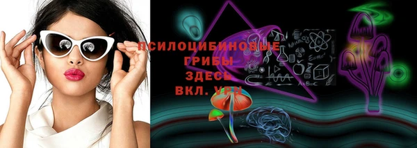 PSILOCYBIN Абаза